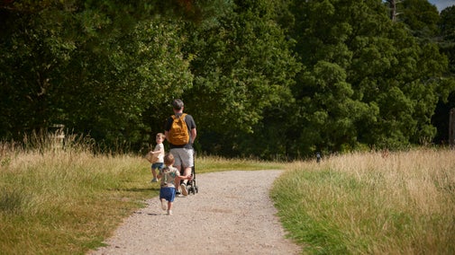 Dad with a pushchair and two young children walking on the path through the parkland